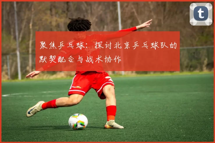 聚焦乒乓球：探讨北京乒乓球队的默契配合与战术协作