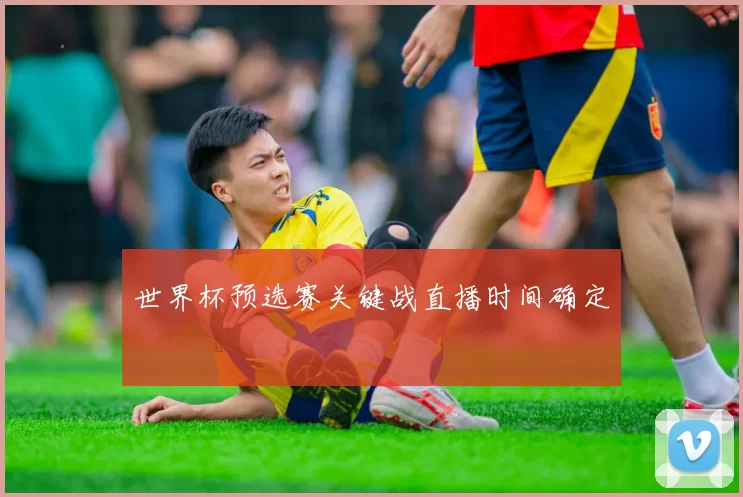 世界杯预选赛关键战直播时间确定