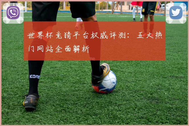 世界杯竞猜平台权威评测：五大热门网站全面解析