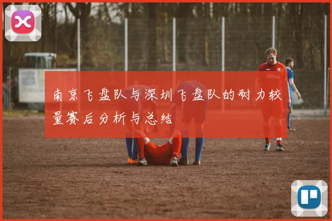 南京飞盘队与深圳飞盘队的耐力较量赛后分析与总结