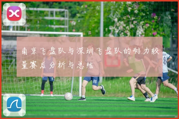南京飞盘队与深圳飞盘队的耐力较量赛后分析与总结
