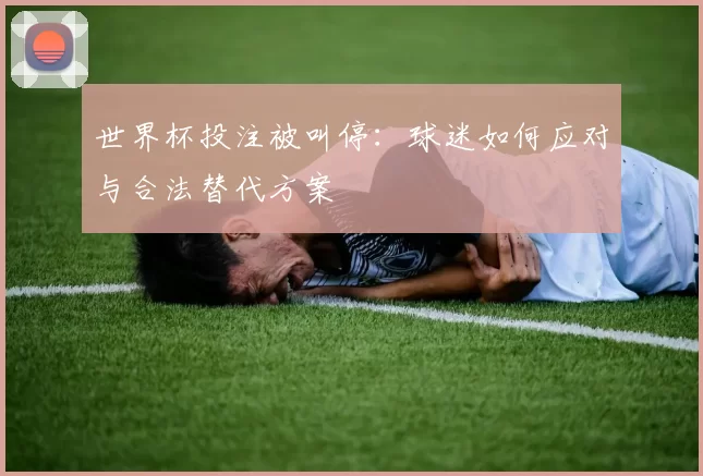世界杯投注被叫停：球迷如何应对与合法替代方案