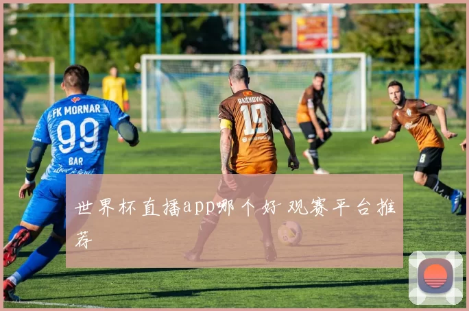 世界杯直播app哪个好 观赛平台推荐