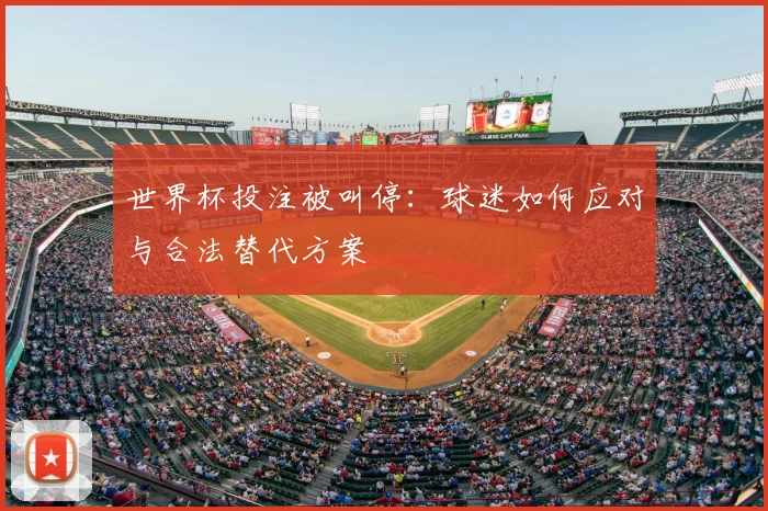 世界杯投注被叫停：球迷如何应对与合法替代方案