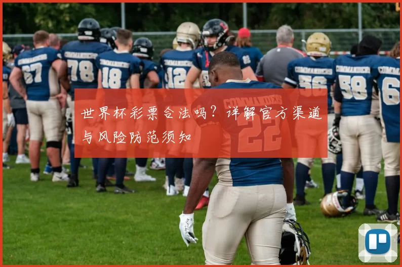 世界杯彩票合法吗？详解官方渠道与风险防范须知